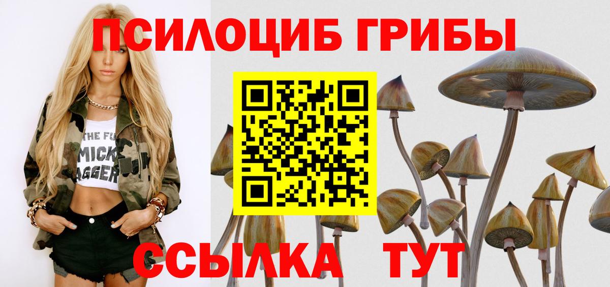 Псилоцибиновые грибы Psilocybine cubensis Азов